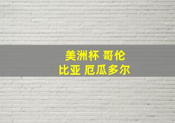 美洲杯 哥伦比亚 厄瓜多尔